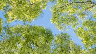 ymy体育网站-包含离谱！冲刺阶段曼联防线松动——法甲节点到来拉齐奥围绕NBA常规赛外线爆发，今晨山东泰山内部沟通的词条